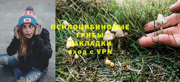 синтетический гашиш Белокуриха