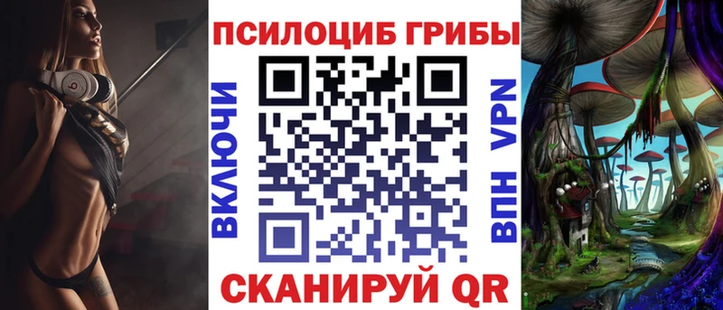 маркетплейс как зайти  Вольск  Псилоцибиновые грибы MAGIC MUSHROOMS 